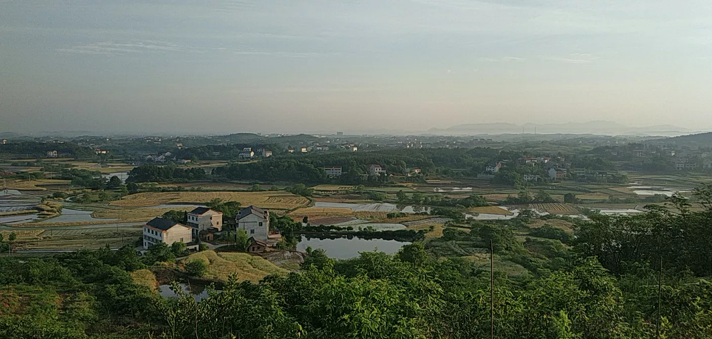 你家乡有什么美景?