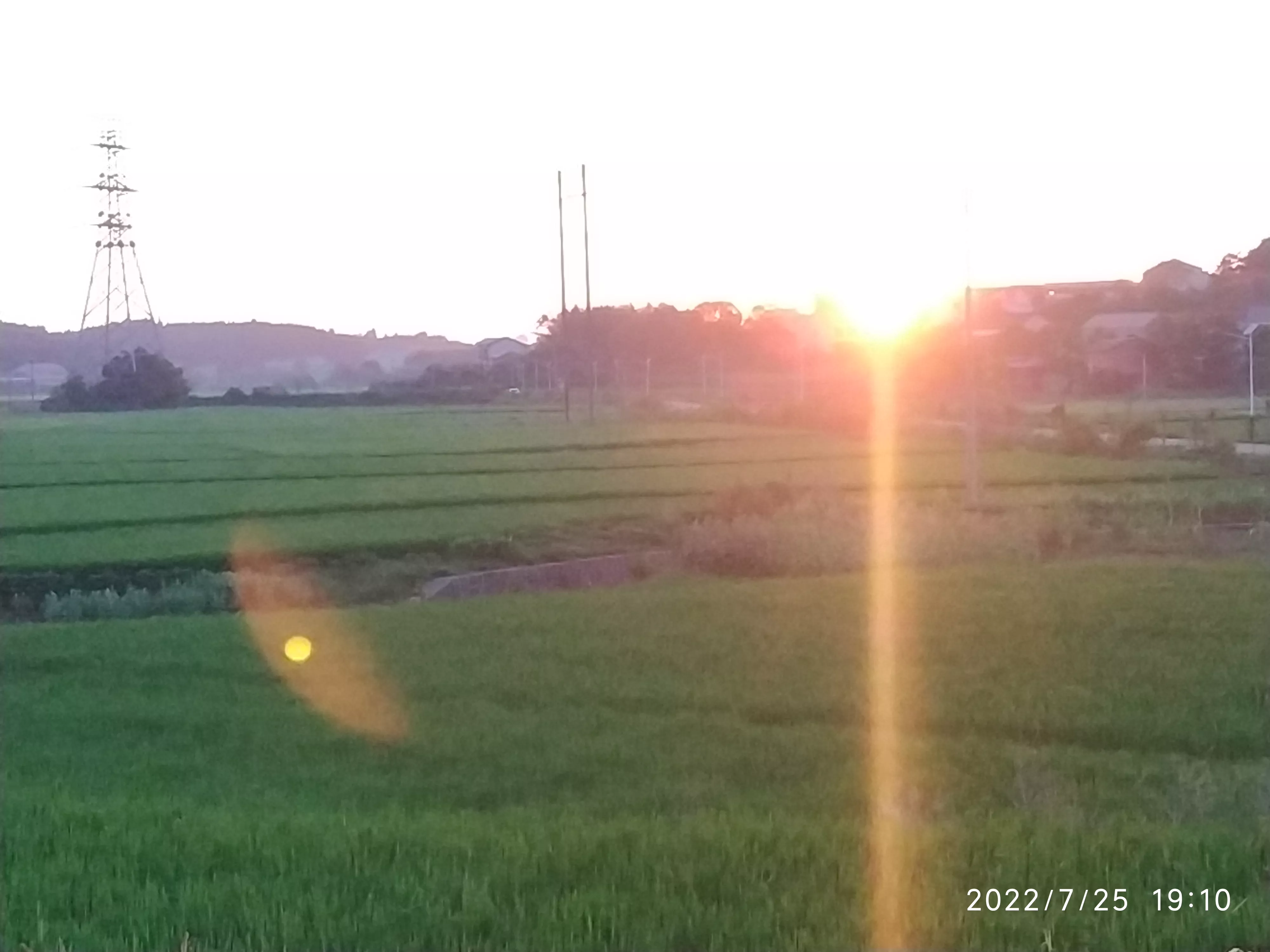 你家乡有什么美景?