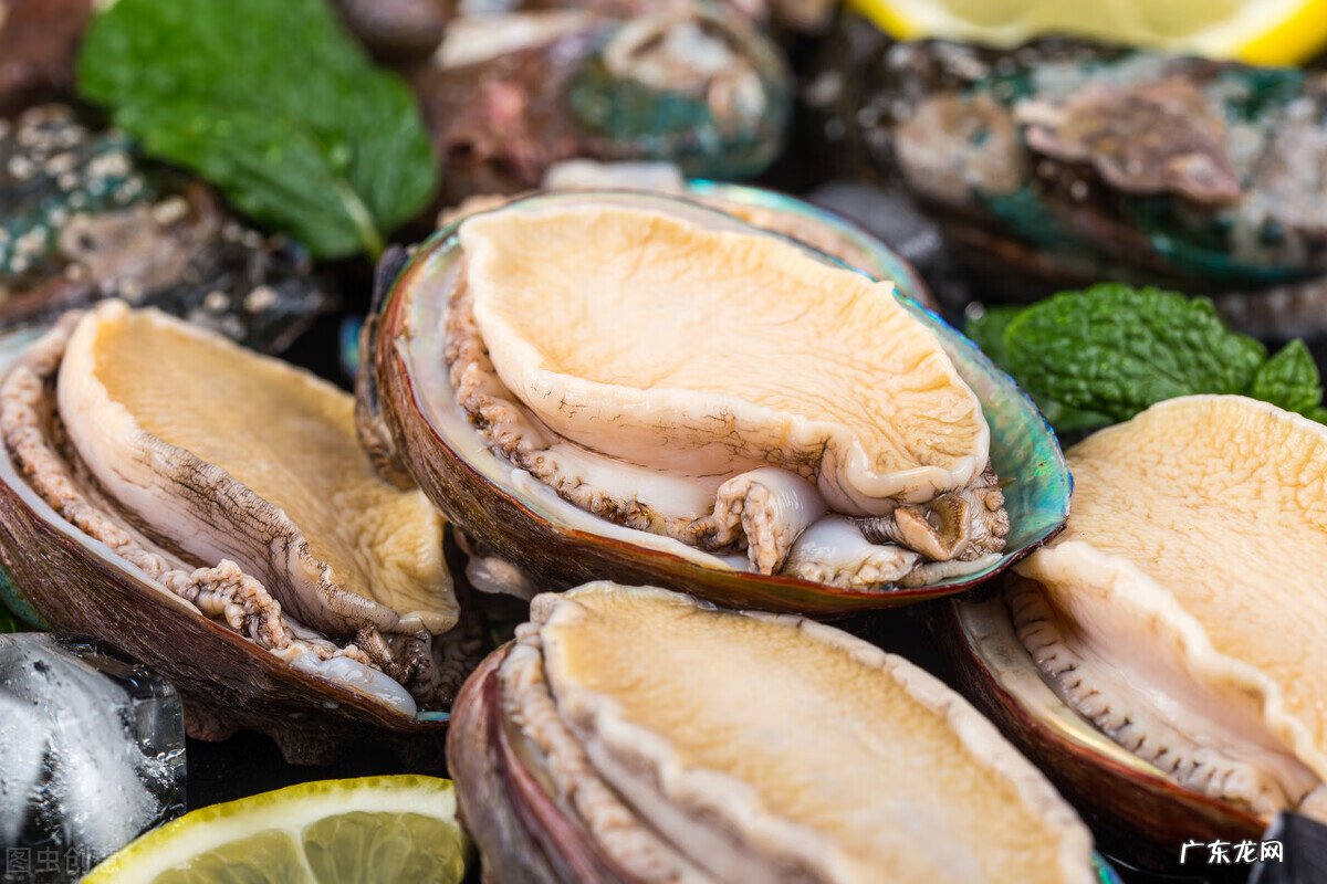 鲍鱼蒸几分钟? 鲍鱼蒸多少分钟好