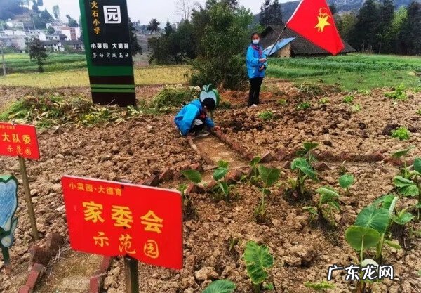 桐梓县灯塔小学水平 桐梓县风水镇中心小学