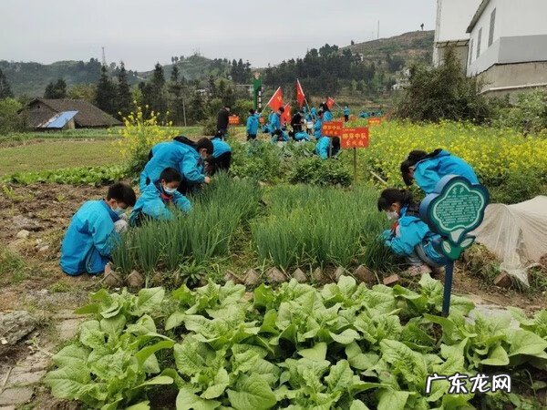 桐梓县灯塔小学水平 桐梓县风水镇中心小学