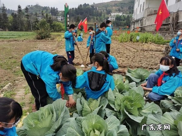 桐梓县灯塔小学水平 桐梓县风水镇中心小学