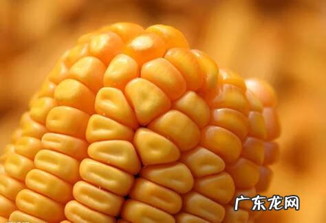 吃什么东西丰胸有效 吃什么丰胸最有效果