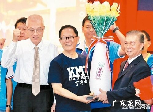 在竞选台北市市长的时候，你觉得丁守中能打败柯文哲吗？为什么？