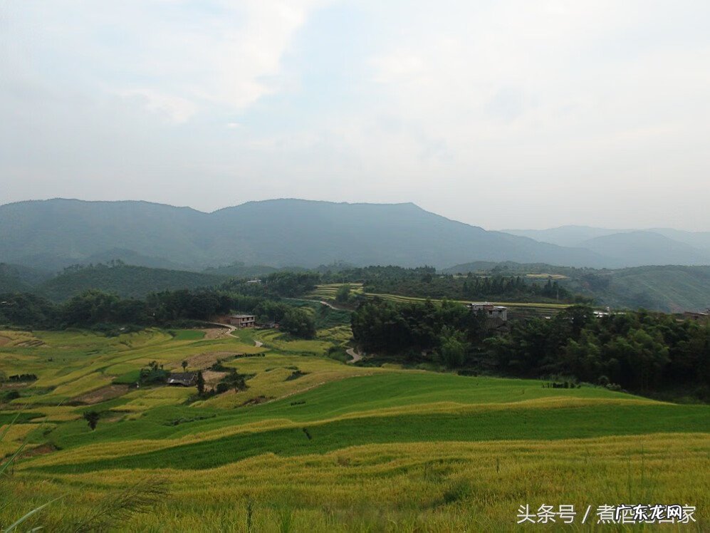 为什么女人不能学风水 什么样的风水地只生女孩