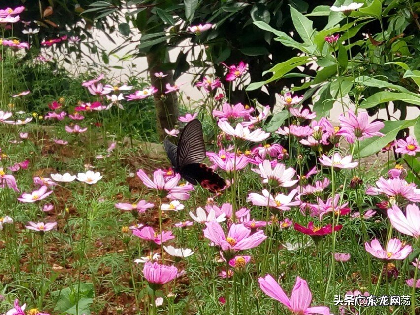 心里特烦怎么办？