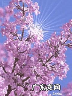 心里特烦怎么办？