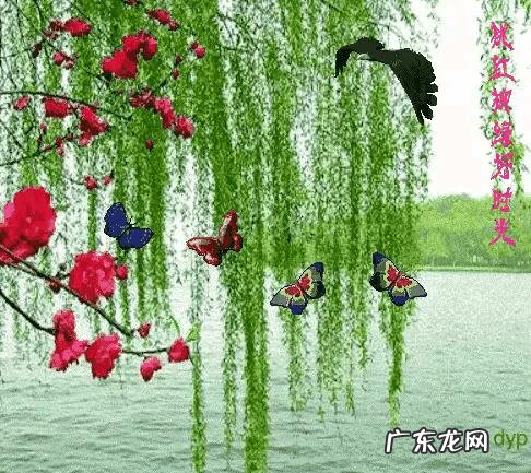 心里特烦怎么办？