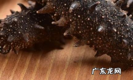 九类人群不适合吃海参 九类人群不适合吃海参小米