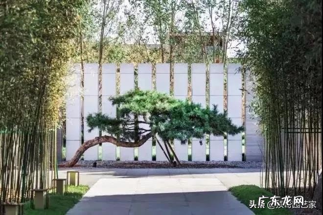 如何打造一个适合北方气候的庭院花园？