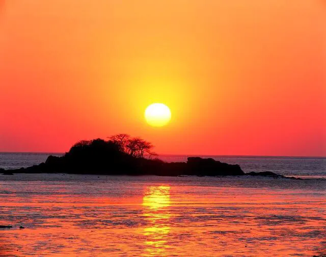 如何打造一个适合北方气候的庭院花园?