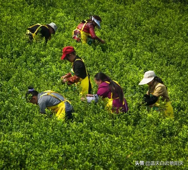 在你的家乡,读起来最搞笑的一句方言是什么?