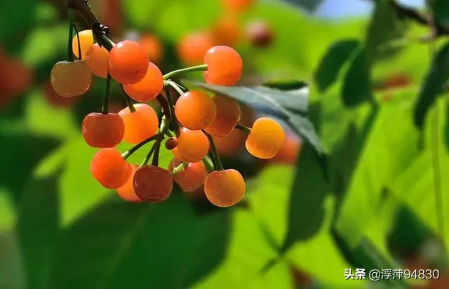 在你的家乡,读起来最搞笑的一句方言是什么?