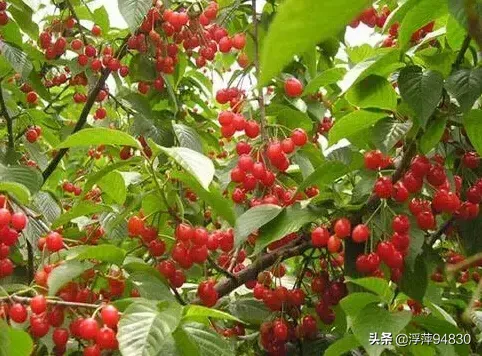 在你的家乡,读起来最搞笑的一句方言是什么?