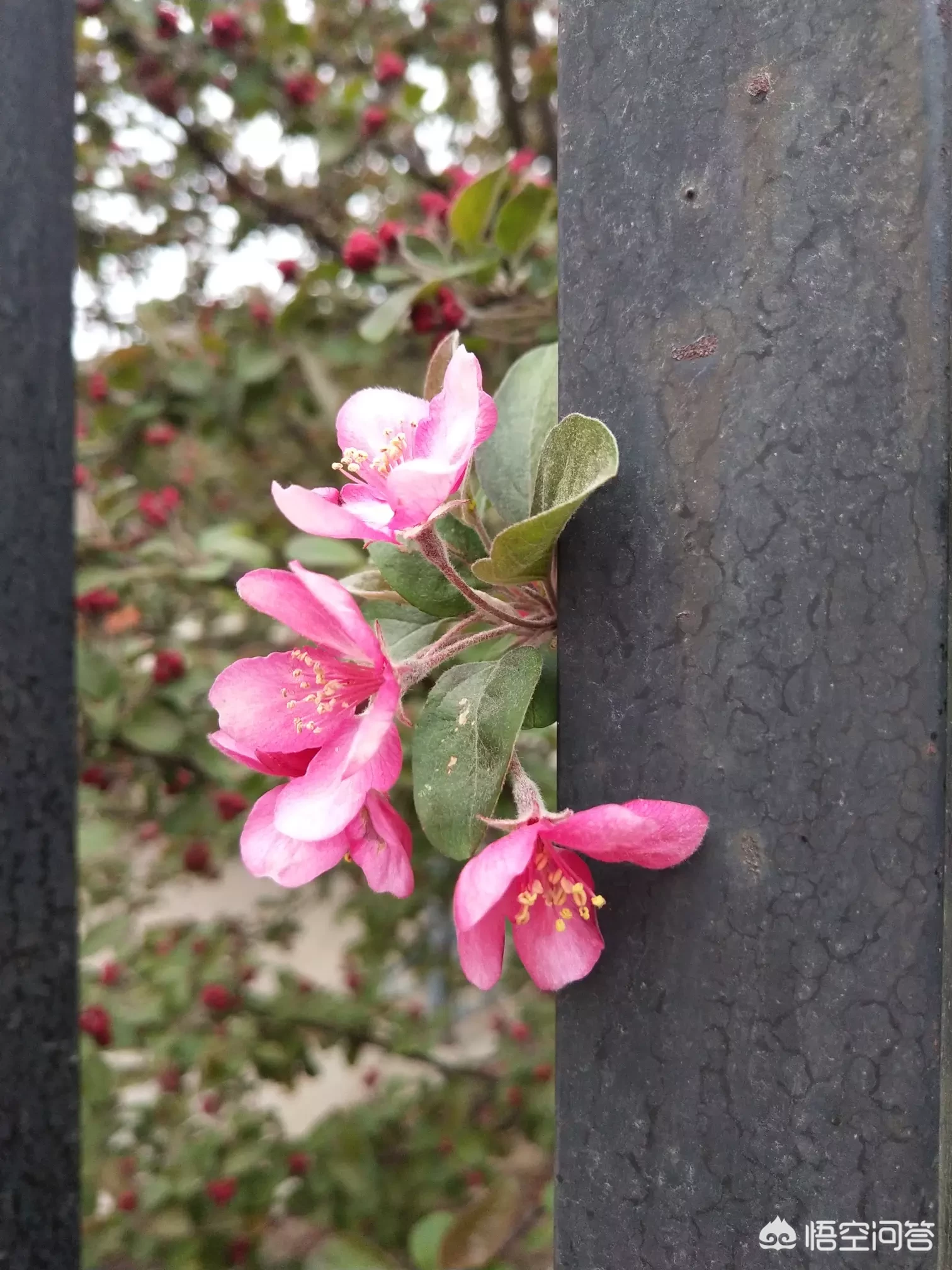 怎么才能做到坚强,独立?