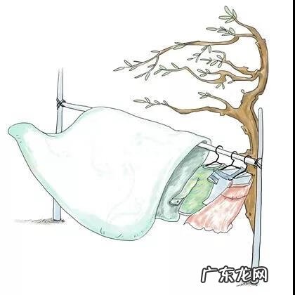 人体100种皮肤病对照图 麻疹