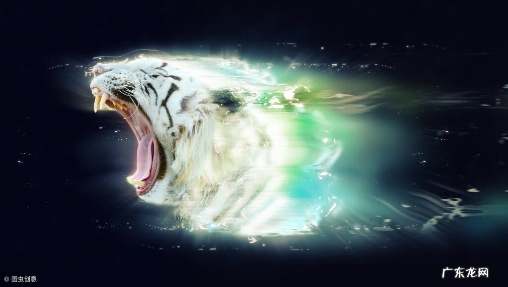 抬头虎 风水学中白虎抬头怎么化解