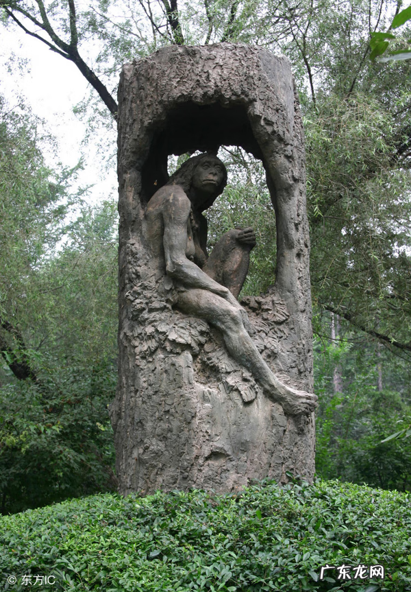 抬头虎 风水学中白虎抬头怎么化解