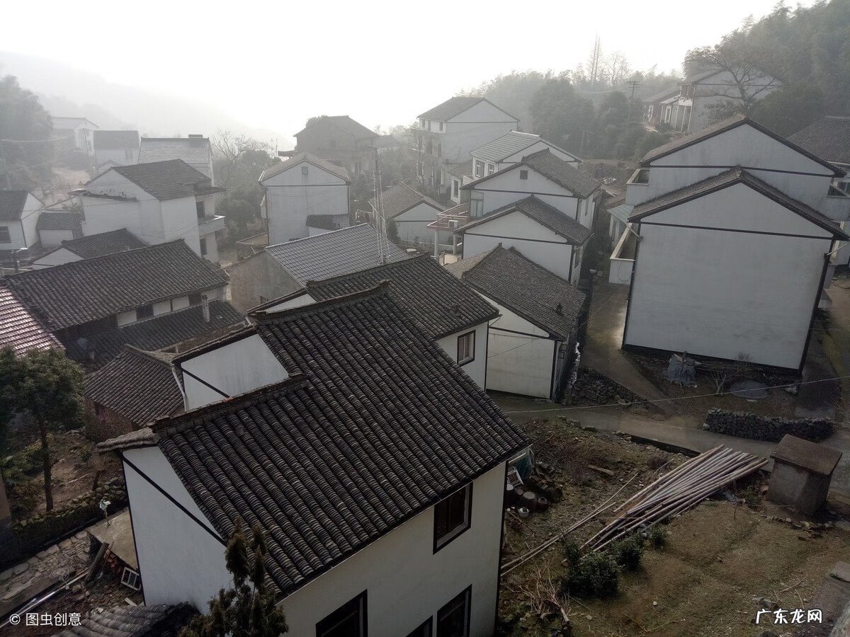 抬头虎 风水学中白虎抬头怎么化解