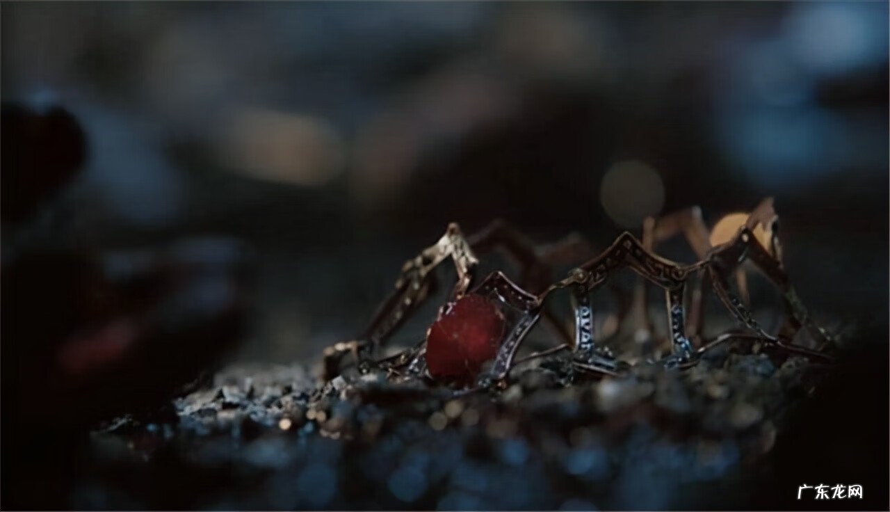 贾昆·赫加尔 詹德利