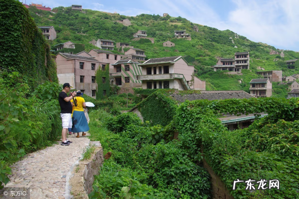 农村门前种什么树风水最好 农村房后有路风水好吗