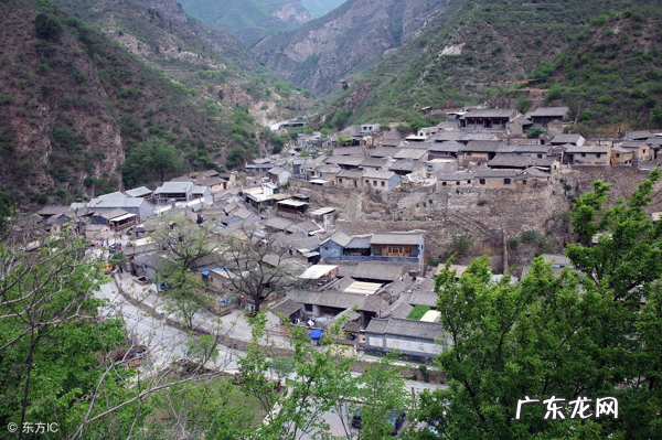 农村门前种什么树风水最好 农村房后有路风水好吗