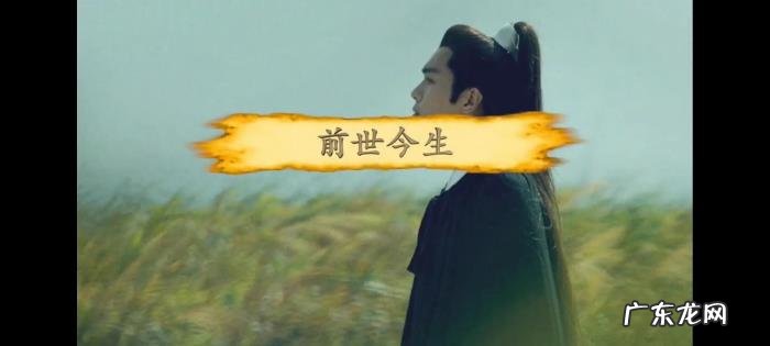 我可以永远笑着扮演你的配角歌词 绿叶的角色