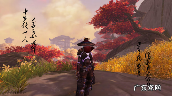 盗贼套装大全 盗贼幻化套装大全