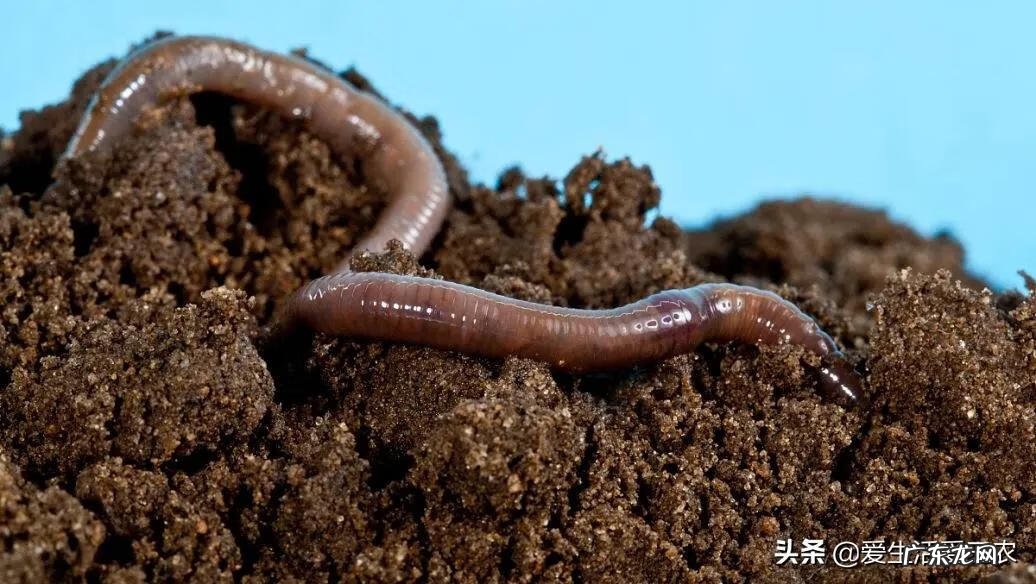 如何致富赚钱怎样才能致富 快速致富项目