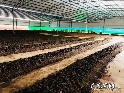 如何致富赚钱怎样才能致富 快速致富项目