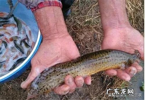 如何致富赚钱怎样才能致富 快速致富项目