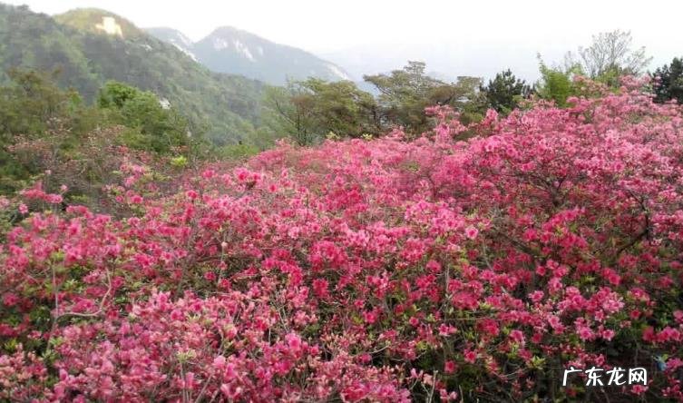 川西小环线5日自驾游的行程安排，怎么安排比较好？