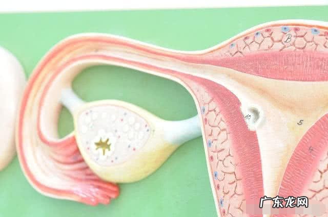 怀孕刚着床的6个反应 一般受精卵着床需要几天