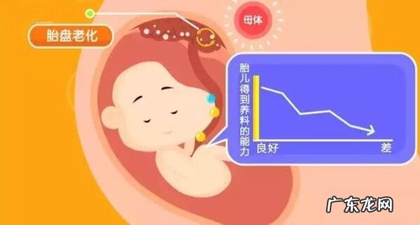 胎盘厚度是什么意思 胎盘厚度代表什么