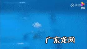 全红蝉全运会上失误仍获第一名,她是如何做到"水花消失术"的?