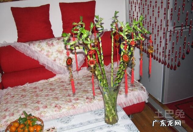 转运竹买几个比较好 转运竹的风水