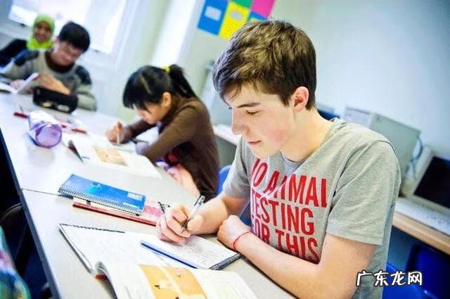 英文写作summary怎么写 summary怎么写例子