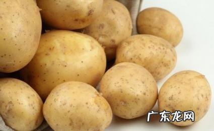 卡路里又低又耐饿的食物有哪些 卡路里又低又耐饿的食物有哪些图片