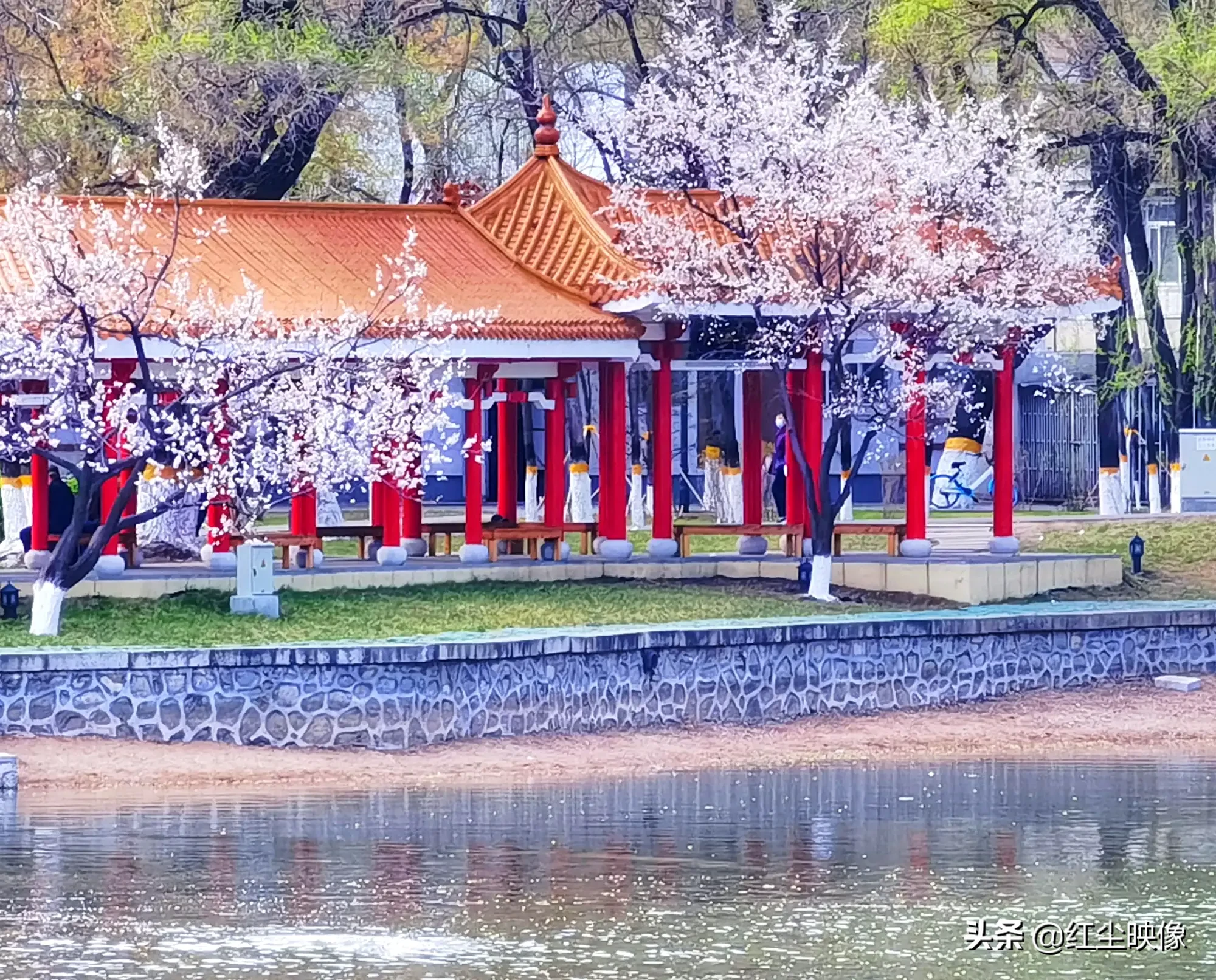 地球面临危机，你被修仙文明选中成为华夏守护者，你会怎么做？