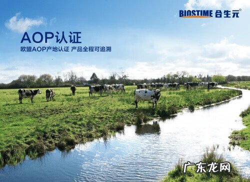 婴儿什么奶粉最好 婴儿哪个奶粉最好