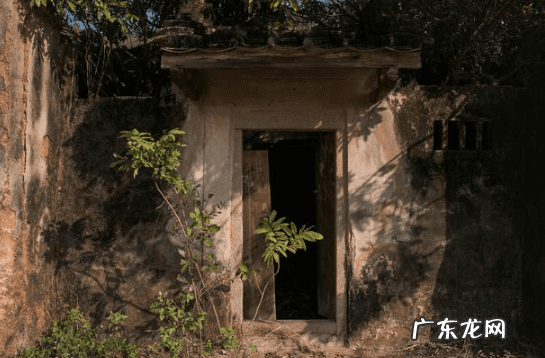 树倒了意味什么 房子后面的树倒了什么寓意