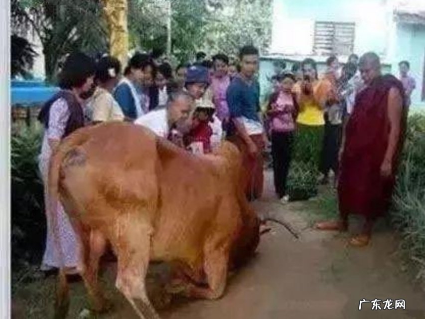 大家都经历过什么,或者有离奇古怪的故事,鬼故事,能发出来看看吗?