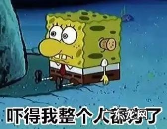 六鳃鲨 皱鳃鲨鱼