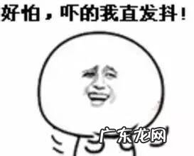 六鳃鲨 皱鳃鲨鱼