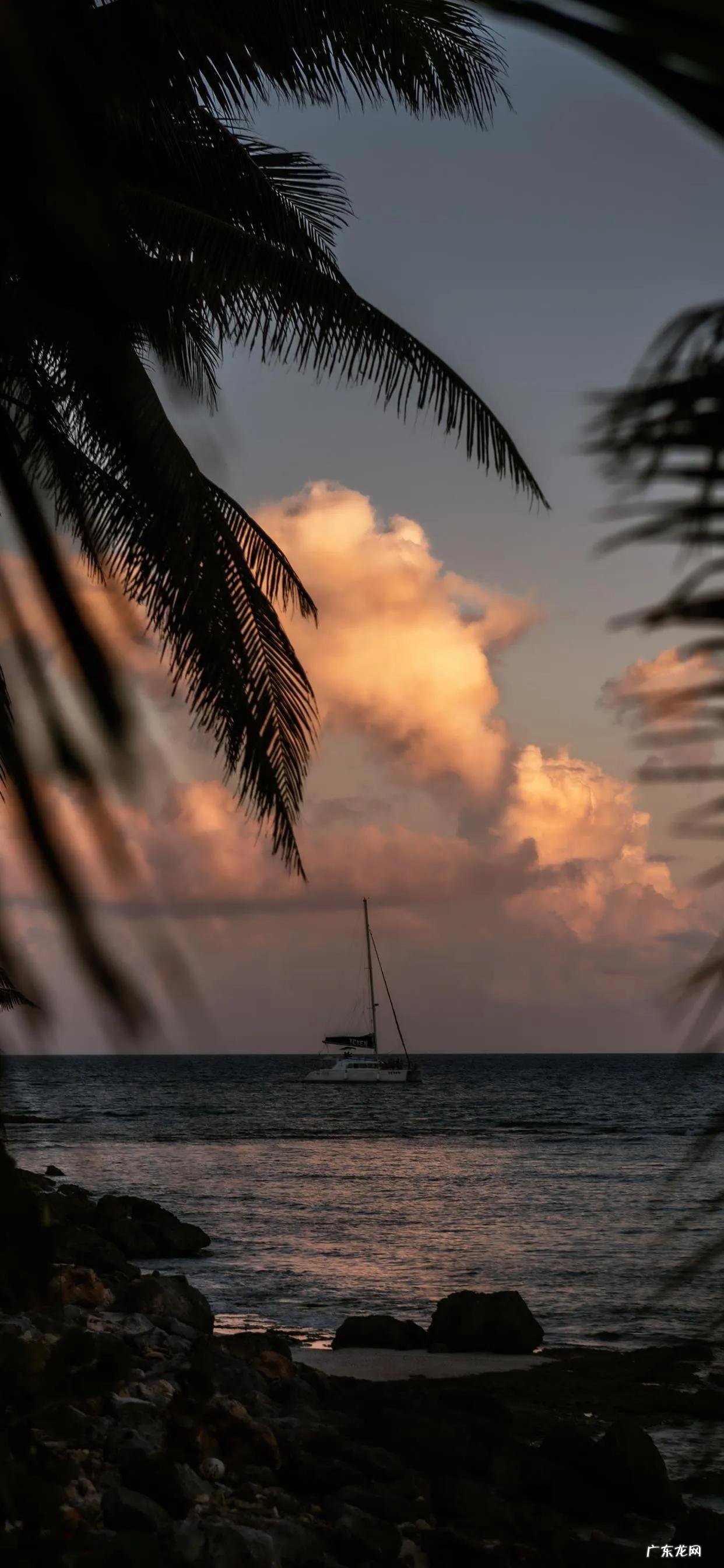 大多男生婚后不幻想爱情是真的吗?