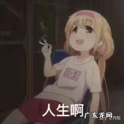 大二男生,想考研、想出国留学、有很多想法,但又学习不进去、很迷茫,他该怎么办?