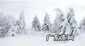 作文堆雪人300字 堆雪人作文怎么写?