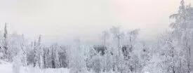 作文堆雪人300字 堆雪人作文怎么写?