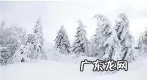 作文堆雪人300字 堆雪人作文怎么写?