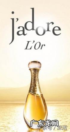 十大知名服装品牌简介范文图片 服装品牌介绍怎么写PPT